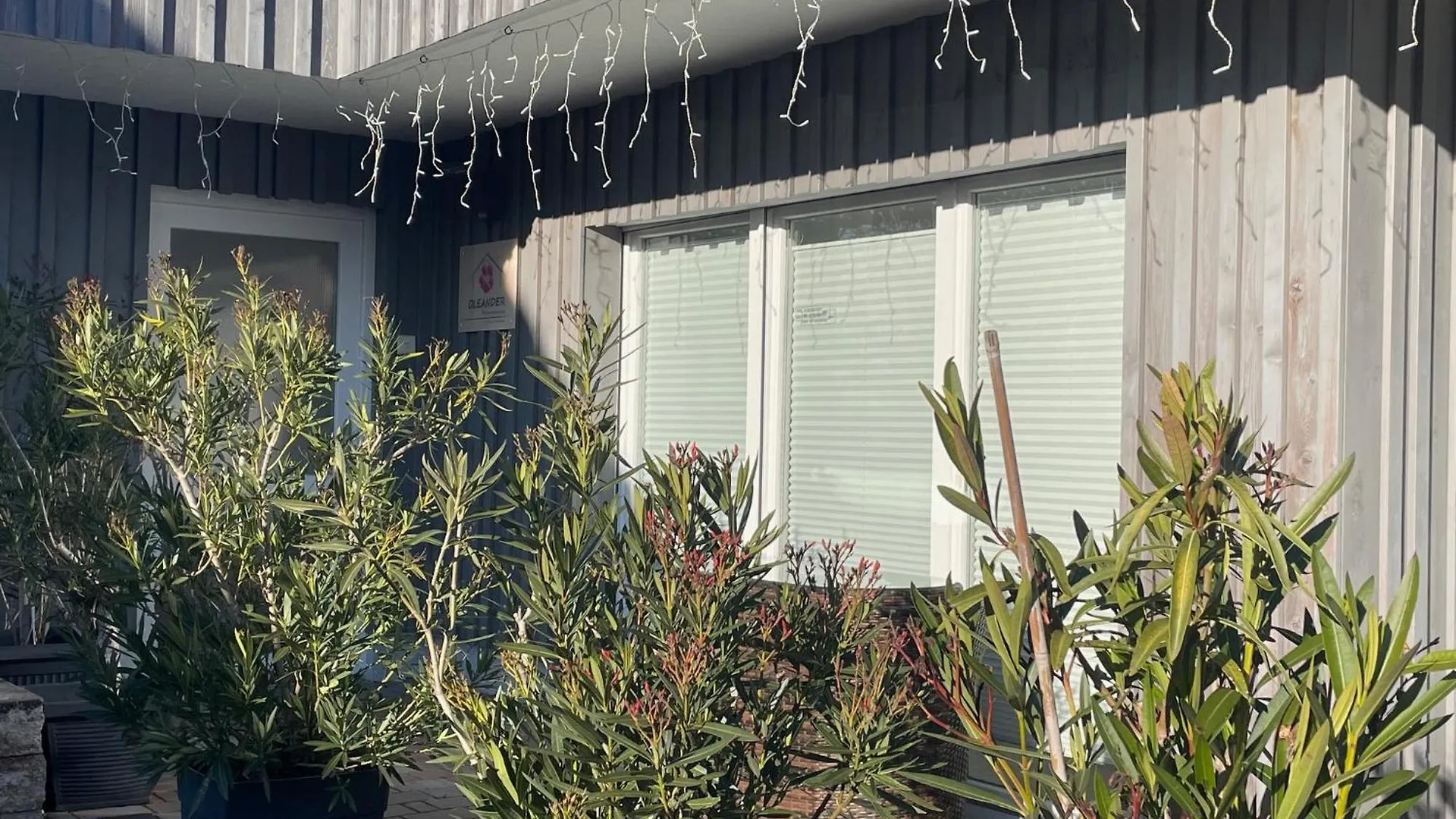 Ferienwohnung Oleander Dresden Lejlighed